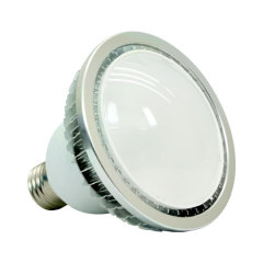 9W LED SPOTLIGHT