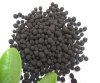 Humic Acids Granule Form