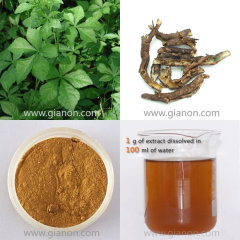 Schisandra Extract