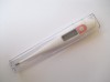 electronic environmental baby thermometer