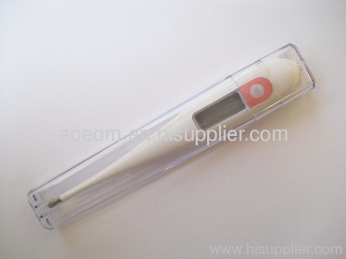 electronic environmental baby thermometer