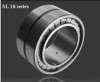 SL Series cylindrical roller bearing