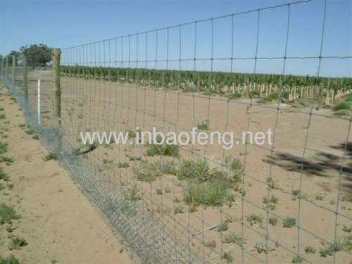 Steel sheep wire mesh fence
