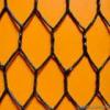 hexagonal wire mesh(tyb-056)