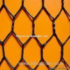 hexagonal wire mesh(tyb-056)