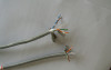 UTP Cat6 Network / lan cable
