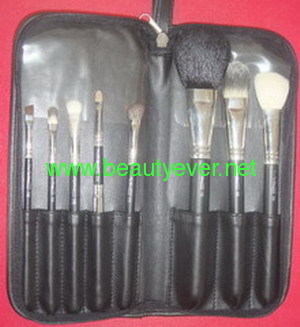 professional cosmetic brush set