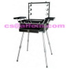 2012 Aluminum Beauty Case with Lights and legs (DB-3740)