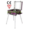 High Quality Aluminum Beauty Case with Lights (DB-2100)