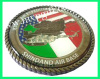 Army trophy coin