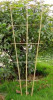 bamboo plant support, plant support