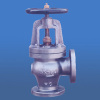 Cast Iron Screw-Down Check Angle Valve 5K