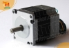 brushless dc motor