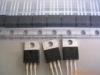 RL251~RL257 Schottky Diode