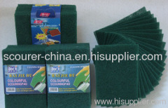 10pcs scouring pad with card