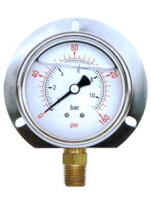 Aseismatic Pressure Gauge