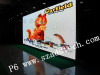 P6 Columbia Indoor SMD Full Color LED Screen