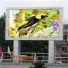 P20 advertising led display outdoor