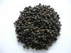 Black Pepper