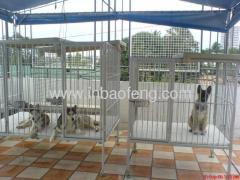 Dog crate dog cage dog runs IN-M087