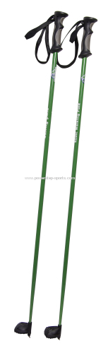 Low price Nordic walking pole with high quality