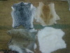 Egyptian tanned rabbit skins