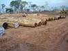 African Hardwood Sawn timber logs for sale