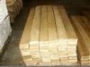 Bubinga woods and others for sale in Cameroon