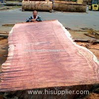 hard wood timber from Cameroon