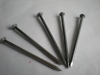 Polished common wire nail