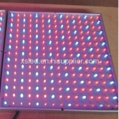 14W LED Grow Panel Light full spectrum