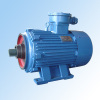 YBJ Series of Flame-proof Three-phase Induction Motors for Winch