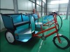 electric trike