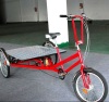 flarbed trike