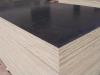 Best price construction film faced plywood