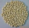 Blanched peanut kernels