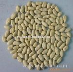 Blanched peanut kernels