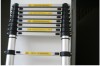 telescopic ladder(En131 certificate&compact&safety&light weight)