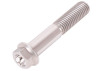 Hexagon Flange Bolts