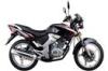 150cc Motor Street Bike TIGER