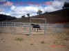 Agriculture >> Animal & Plant Extract p-l12 new style durable galvanized horse fence