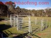 Agriculture >> Animal & Plant Extract p-l13 new style A1 quality galvanized horse fence