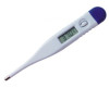 oral thermometer digital