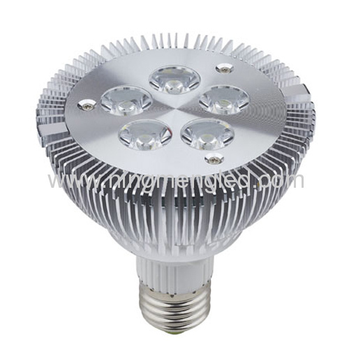 High Brightness LED Spotlight PAR30