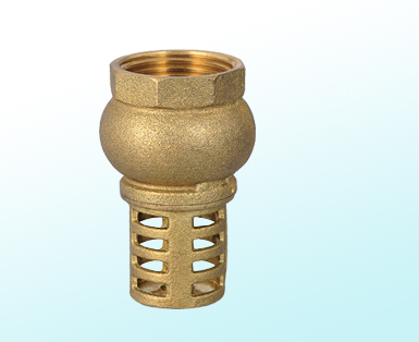 brass foot valve