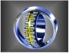 Extra Large Spherical Roller Bearings