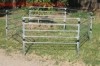Agriculture >> Animal & Plant Extract p-l26 new style high quality galvanized horse fence