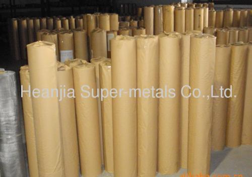 310 Stainless Steel Wire Mesh/Screen