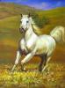 Running horse oil painting