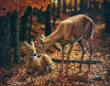 Forest deer oil painting